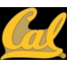 U CALIFORNIA BERKELEY GOLDEN BEARS YELLOW LOGO PIN