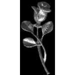 SINGLE ROSE PEWTER PIN