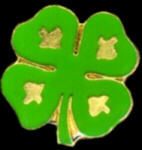 IRISH 4 LEAF CLOVER PIN