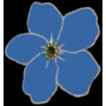 BLUE FORGET ME NOT FLOWER PIN
