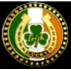 LUCKY IRISH PIN SHAMROCK AND HORSESHOE PIN