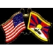 TIBET FLAG AND USA CROSSED FLAG PIN FRIENDSHIP FLAG PINS