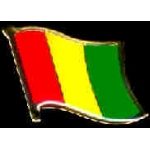 GUINEA PIN COUNTRY FLAG PIN