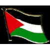 PALESTINE PIN COUNTRY FLAG PIN