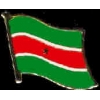SURINAM PIN COUNTRY FLAG PIN