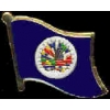 ORGANIZATION OF AMERICAN STATES PIN OAS FLAG PIN