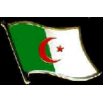 ALGERIA PIN COUNTRY FLAG PIN
