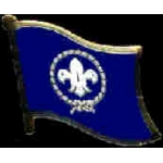 BOY SCOUTS PIN FLAG PIN