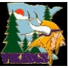 MINNESOTA VIKINGS CITY PIN NEW STYLE