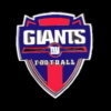 NEW YORK GIANTS PIN CREST EXEC PIN