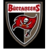 TAMPA BAY BUCCANEERS PIN CREST EXEC PIN