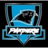 CAROLINA PANTHERS PIN CREST EXEC PIN