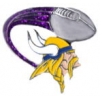 MINNESOTA VIKINGS PIN FOOTBALL GLITTER TRAIL PIN