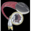 WASHINGTON REDSKINS PIN FOOTBALL GLITTER TRAIL PIN
