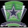 DALLAS COWBOYS PIN FOOTBALL LOGO FIELD PIN