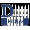 INDIANAPOLIS COLTS D-FENCE PIN