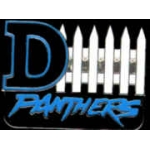 CAROLINA PANTHERS D-FENCE PIN