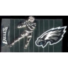PHILADELPHIA EAGLES TEAM EXEC FIELD PIN