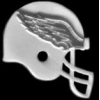PHILADELPHIA EAGLES VIP HELMET PIN