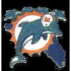 MIAMI DOLPHINS CITY PIN
