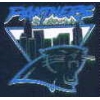 CAROLINA PANTHERS CITY PIN
