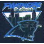 CAROLINA PANTHERS CITY PIN