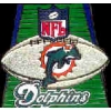 Miami Dolphins Football Field Pin