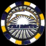 SAN DIEGO CHARGERS POKER CHIP PIN