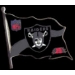 OAKLAND RAIDERS TEAM FLAG