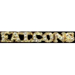 ATLANTA FALCONS RHINESTONE BAR PIN