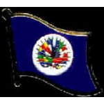 ORGANIZATION OF AMERICAN STATES PIN OAS FLAG PIN DX