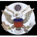 GREAT SEAL OF UNITED STATES PIN USA EAGLE PIN