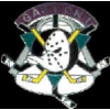 ANAHEIM MIGHTY DUCKS GAME ON PIN