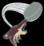 PHOENIX COYOTES PIN PUCK GLITTER TRAIL PIN