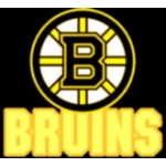 BOSTON BRUINS LOGO AND WORD PIN