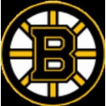 BOSTON BRUINS LOGO NHL PIN