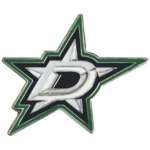 DALLAS STARS LOGO NHL HOCKEY PIN