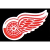 DETROIT REDWINGS LOGO NHL PIN