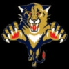 FLORIDA PANTHERS LOGO NHL PIN