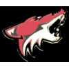 PHOENIX COYOTES LOGO NHL PIN