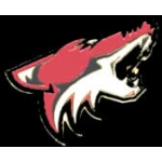 PHOENIX COYOTES LOGO NHL PIN