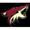 PHOENIX COYOTES TEAM LOGO PIN