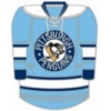PITTSBURGH PENGUINS PIN RETRO JERSEY PIN OLD STYLE PITTSBURGH PENGUINS PIN RETRO JERSEY PIN OLD STYLE