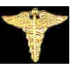 CADEUSES PIN GOLD MEDICAL SMALL CADEUSES LOGO PIN