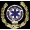 EMT EMERGENCY MEDICAL TECH LAUREL PIN