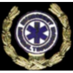 EMT EMERGENCY MEDICAL TECH LAUREL PIN