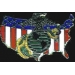 USMC MARINE CORPS LOGO USA SHAPE PIN