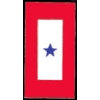 BLUE STAR SERVICE FAMILY MEMBER IN THE MLITARY PIN