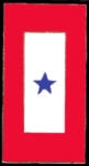 BLUE STAR SERVICE FAMILY MEMBER IN THE MLITARY PIN