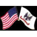 US ARMY USA FLAG COMBO WHITE VERSION PIN